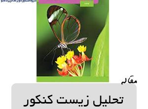 تحلیل زیست کنکور 7 مرکز مشاوره کنکور تجربی به تحلیل زیست کنکور به تفکیک زیست دهم و یازدهم و دوازدهم و البته تحلیل مبحثی فصول گیاهی و جانوری و ژنتیک میپردازد. 02633408944