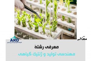 رشته مهندسی تولید و ژنتیک گیاهی