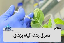 مرکز انتخاب رشته آکو در این مقاله به معرفی رشته گیاه پزشکی می پردازد، دروس رشته گیاه پزشکی و بازار کار آن نیز از موضوعات بسیار مهم مرتبط به این رشته می باشد.