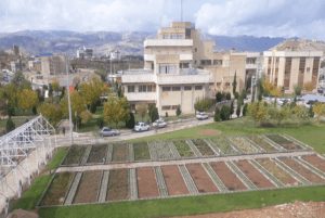 انتخاب رشته کنکور