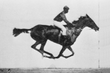 Muybridge race horse animated با رشته سینما در هنرستان آشنا شوید