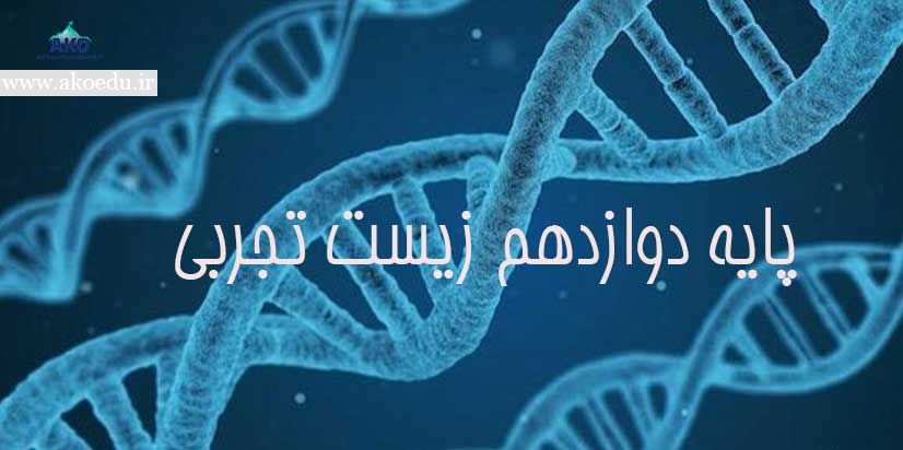 جزوه زیست مبحث جانوری