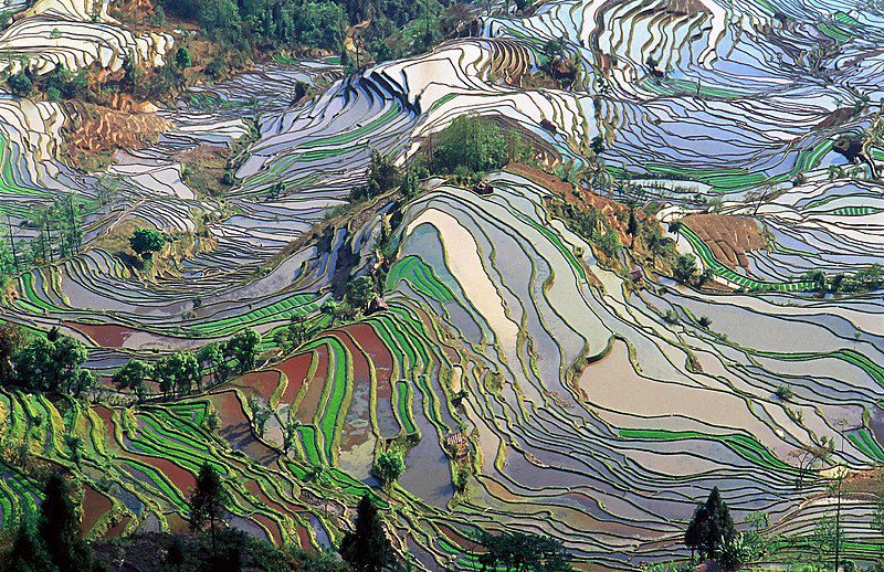 Terrace field yunnan china denoised