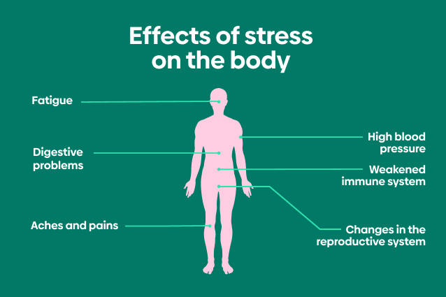 تاثیرات استرس بر بدن دانش آموزان
